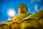 Largest golden Buddha, Wat Paknam Bhasicharoen in Bangkok, Thailand. Temple established in 1600s. Art Print